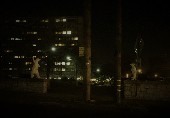 Nighttime view of the polar bears 